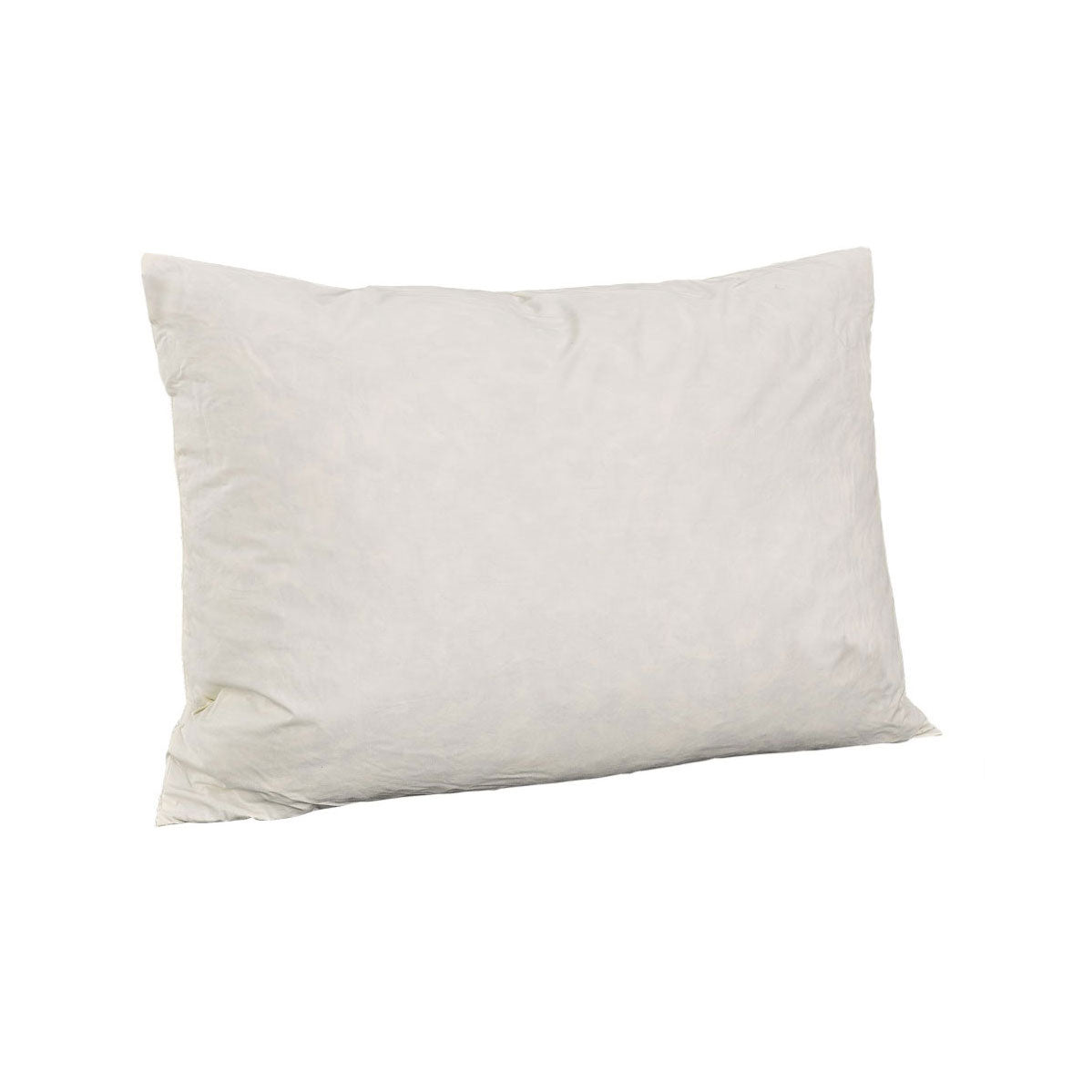 FEATHER CUSHION Innerpute 60x40