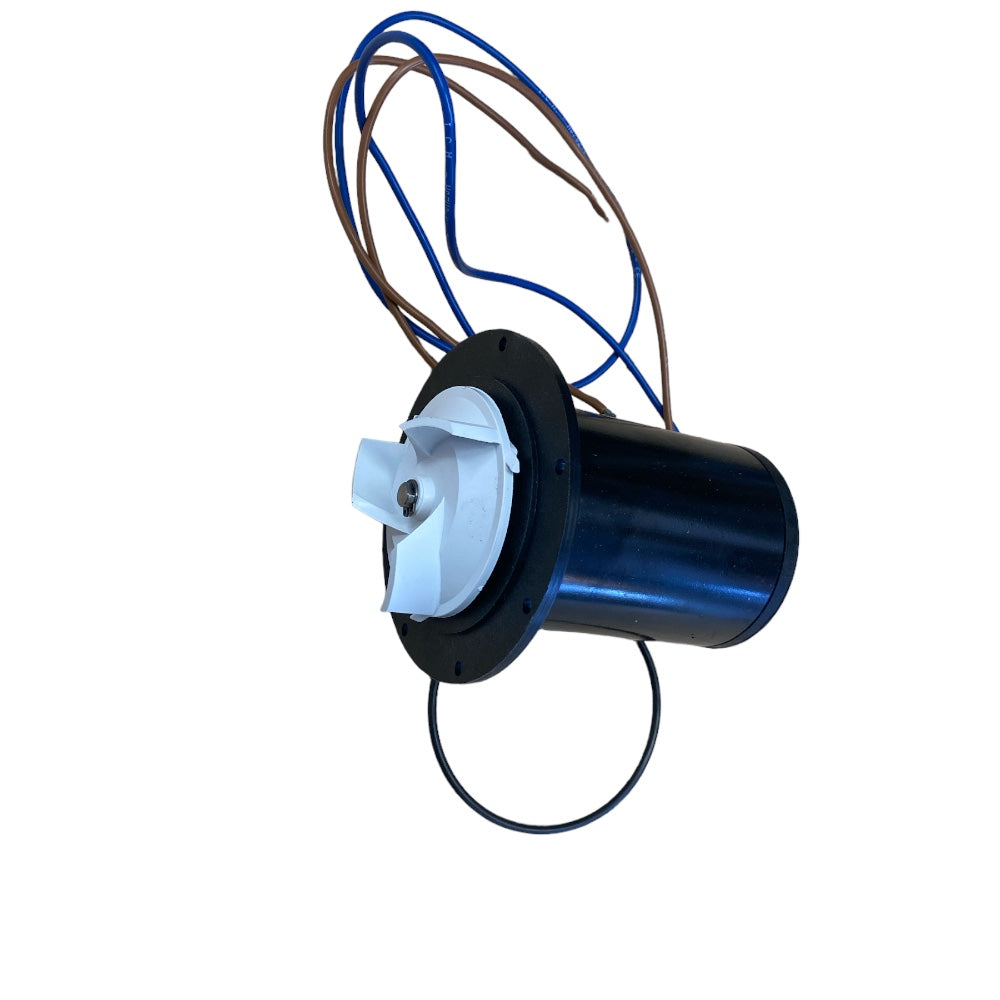 MOTEUR SILENCIEUX 12V POUR TOILETTE JOHNSON
