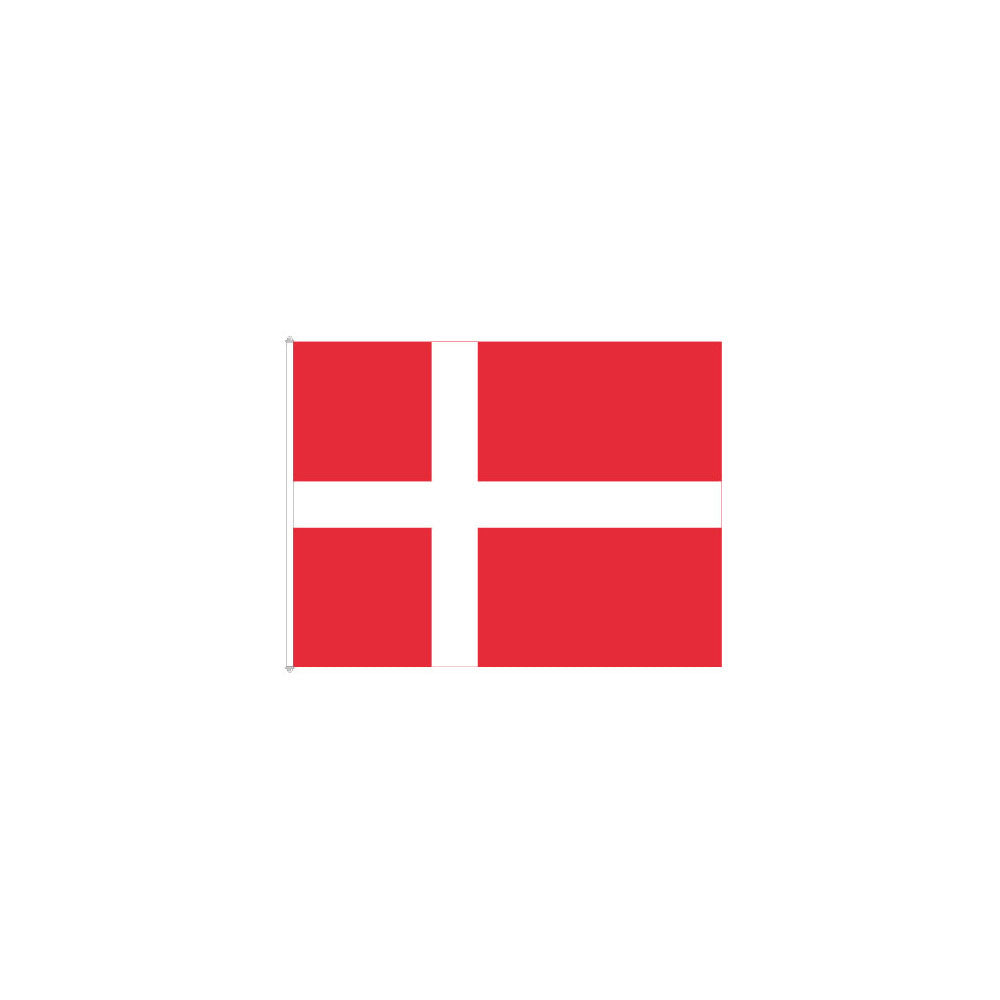 FLAGG DANMARK 90CM