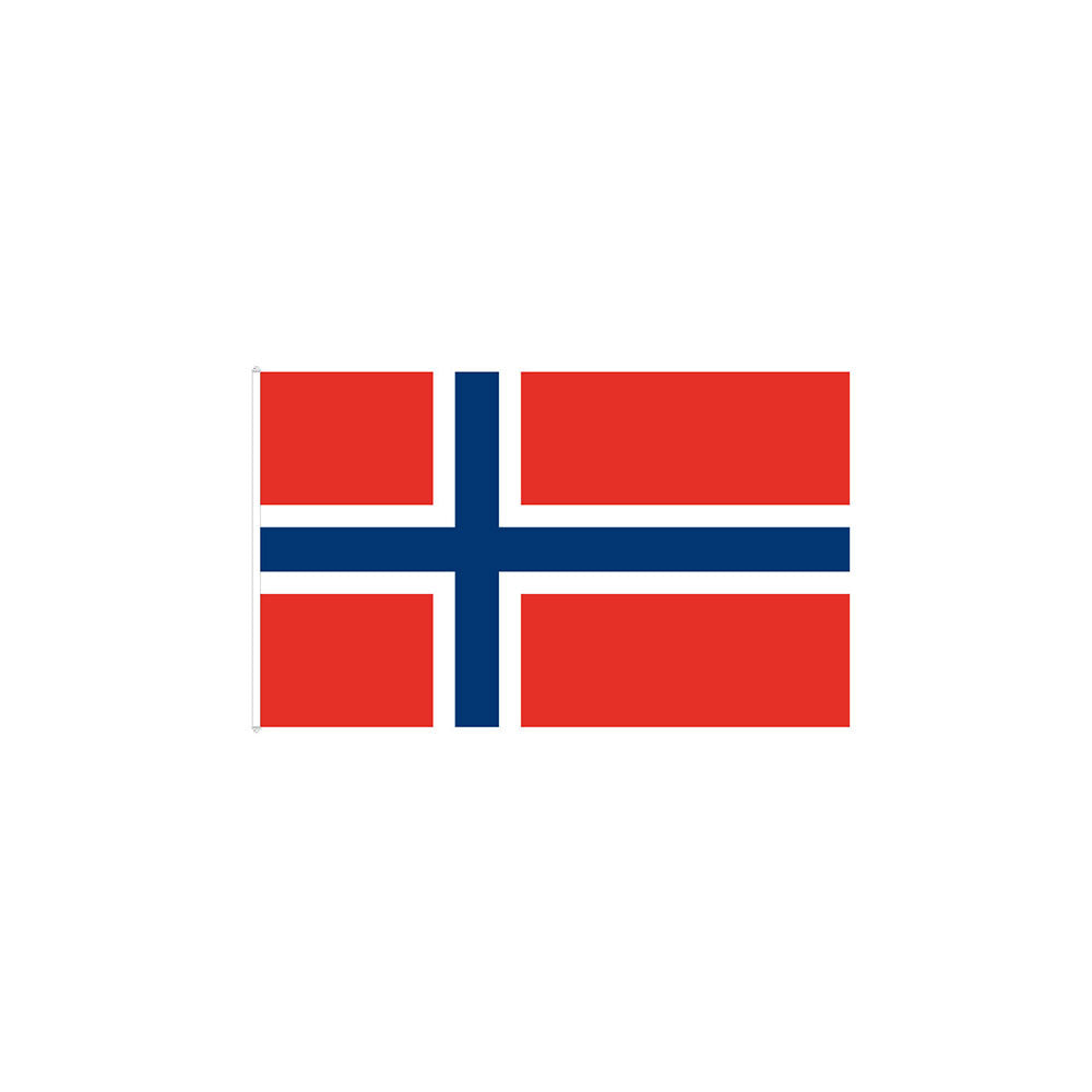 FLAGG NORGE 120CM